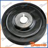 Poulie damper vilebrequin pour RENAULT | RKP-RE-009, 80000600